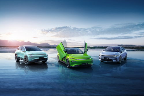 碧桂園文商旅碧虎杯3V3籃球賽跨界落地碧家國際社區(qū) 創(chuàng)新融合體育運(yùn)動(dòng)與汽車消費(fèi)